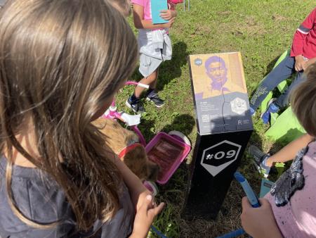 Razigrano ravensko poletje ŽIVE OBLIKE (15)